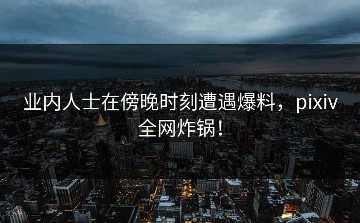 业内人士在傍晚时刻遭遇爆料，pixiv全网炸锅！