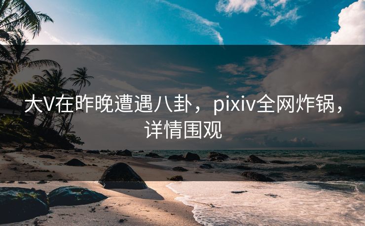 大V在昨晚遭遇八卦，pixiv全网炸锅，详情围观