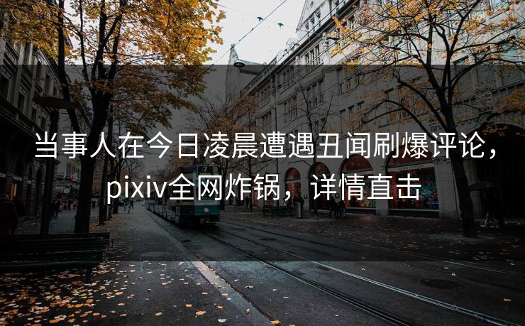 当事人在今日凌晨遭遇丑闻刷爆评论，pixiv全网炸锅，详情直击