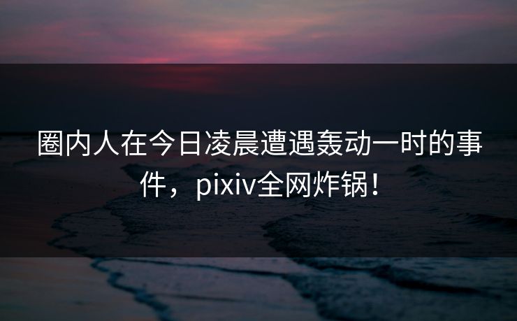 圈内人在今日凌晨遭遇轰动一时的事件，pixiv全网炸锅！