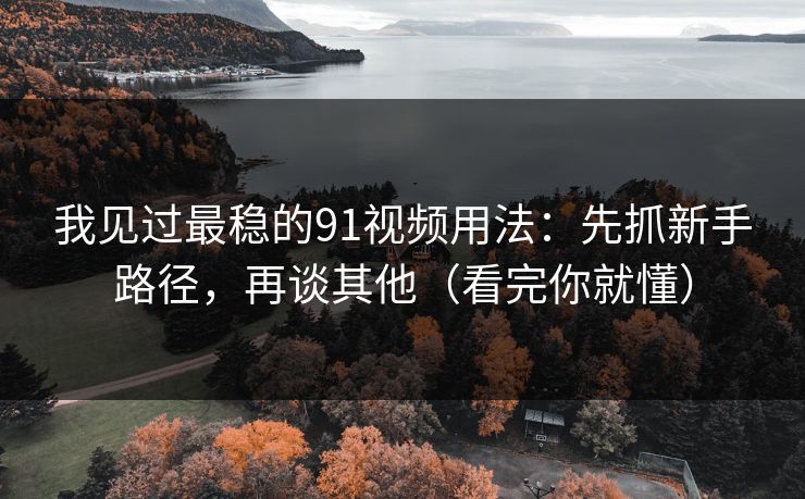 我见过最稳的91视频用法：先抓新手路径，再谈其他（看完你就懂）