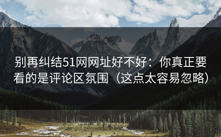 别再纠结51网网址好不好：你真正要看的是评论区氛围（这点太容易忽略）